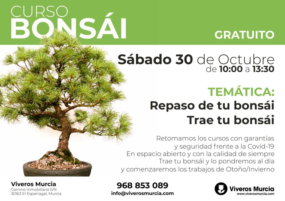 Curso de bonsái el 30 de Octubre