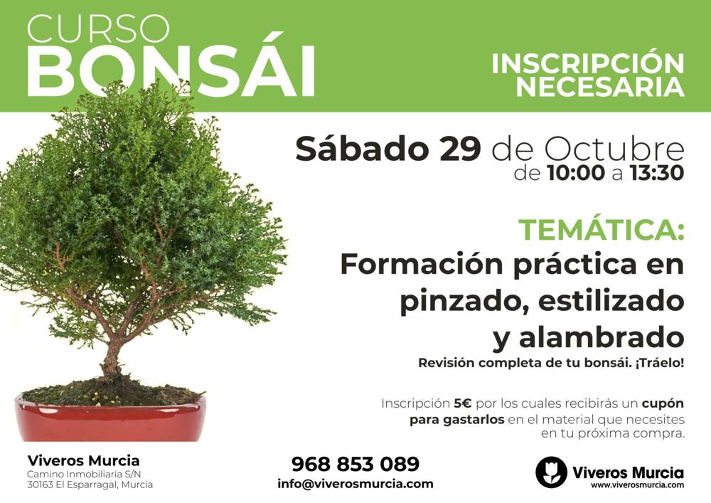 Nueva edición del taller de bonsái el 29 de octubre
