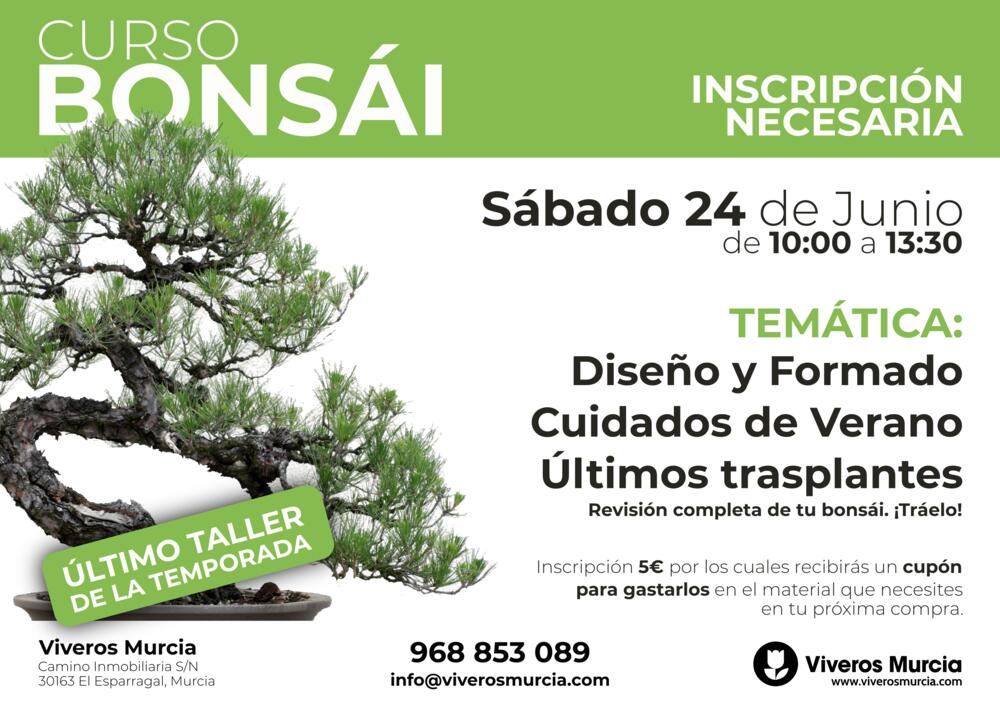 Última edición de la temporada de nuestro taller de bonsái el sábado 24 de junio