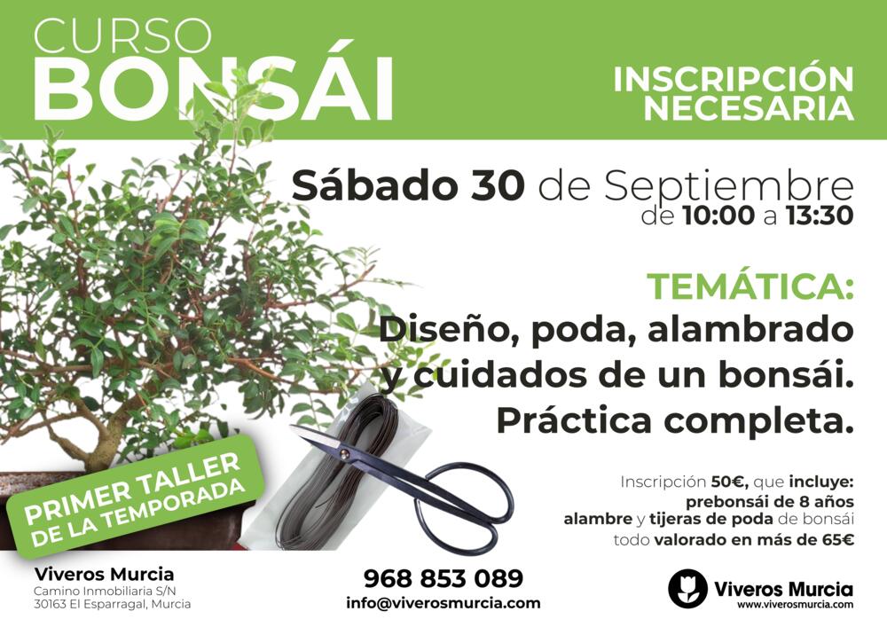Comienza la temporada 2023-2024 de los talleres de bonsái de Viveros Murcia