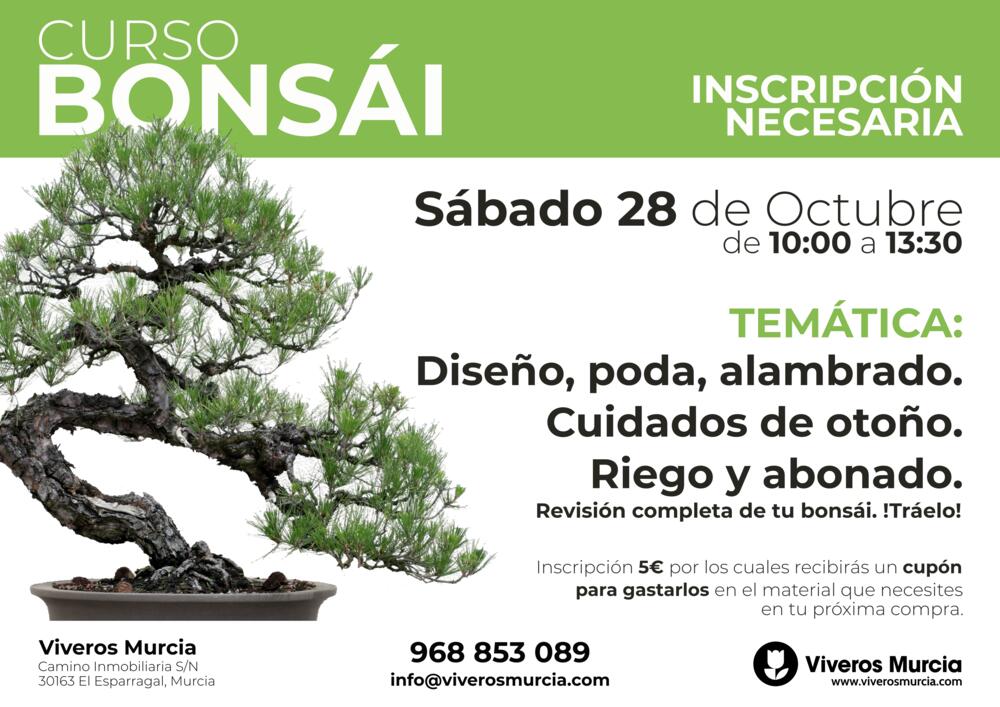 Nueva edición de taller de bonsái el sábado 28 de octubre