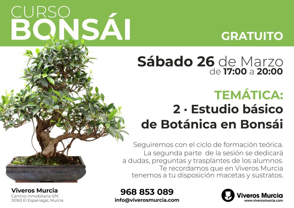 Curso de bonsái el 26 de Marzo por la tarde