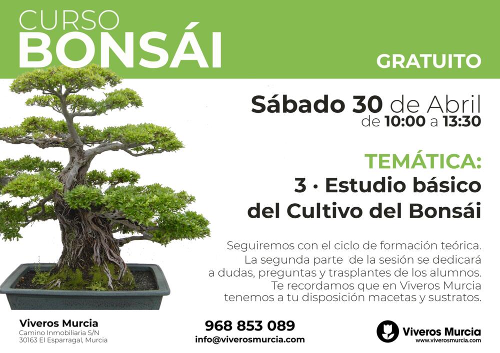 Curso de bonsái el 30 de Abril