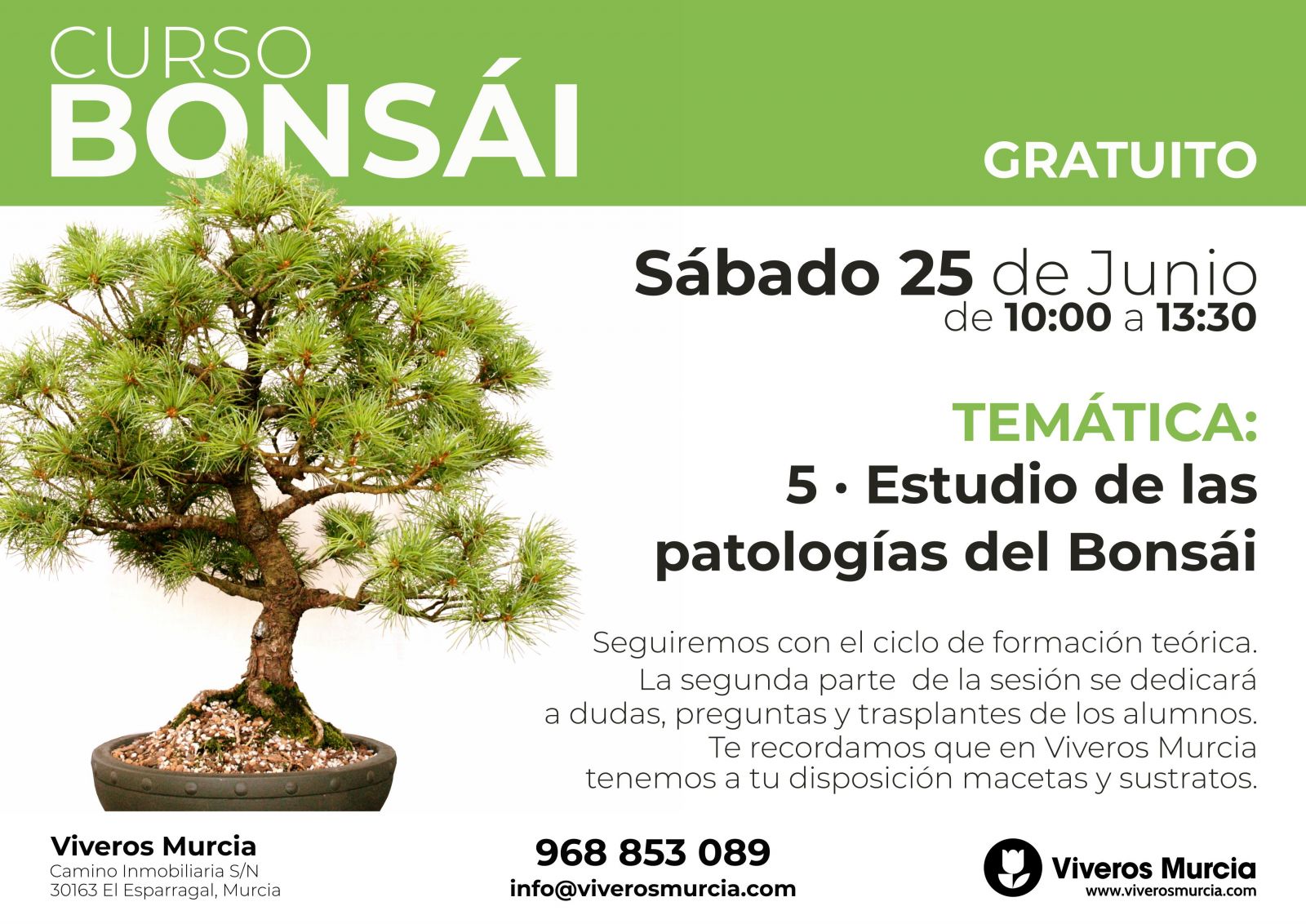 Curso de bonsái el 25 de Junio