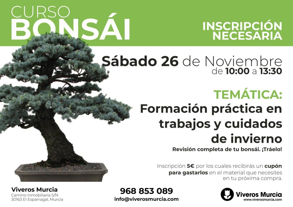 Nueva edición del taller de bonsái el 26 de noviembre