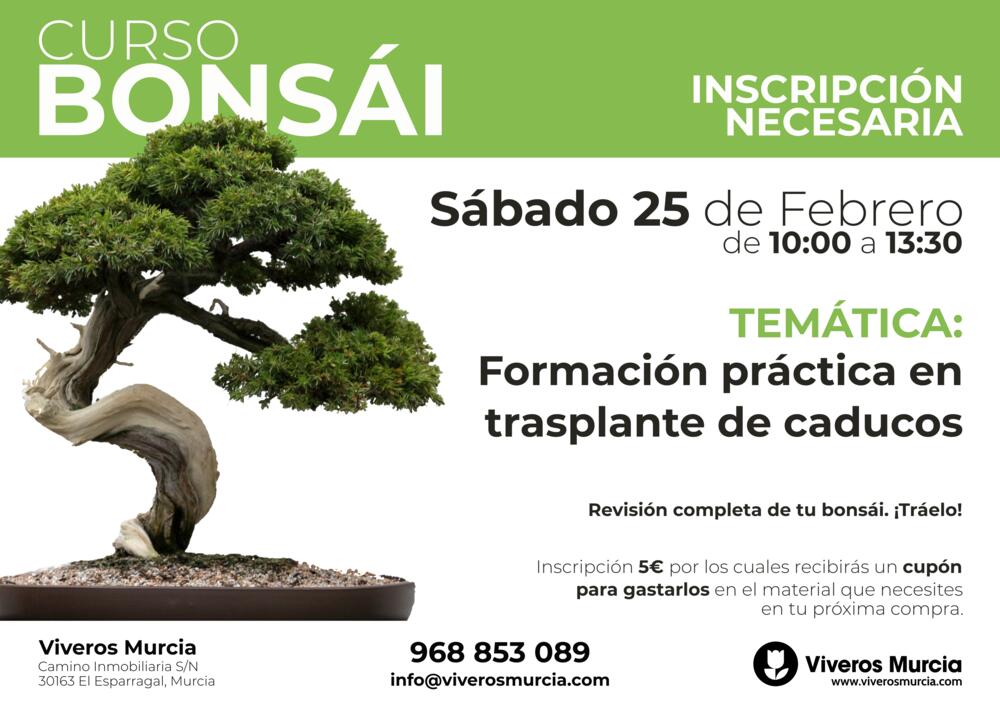 Nueva edición del taller de bonsái el sábado 25 de febrero