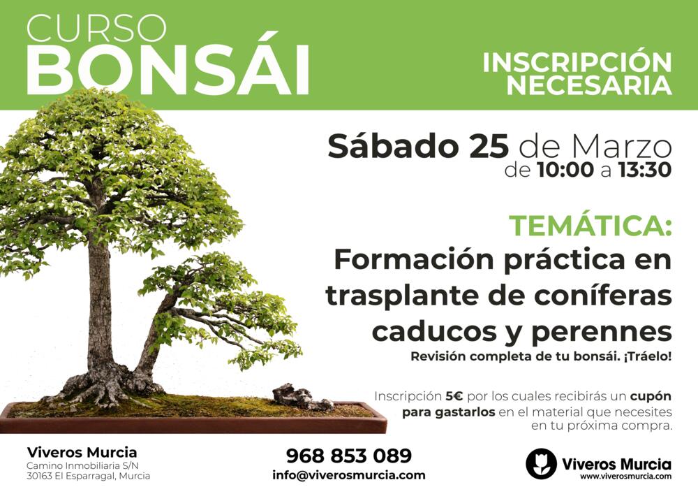 Nueva edición del taller de bonsái el sábado 25 de marzo