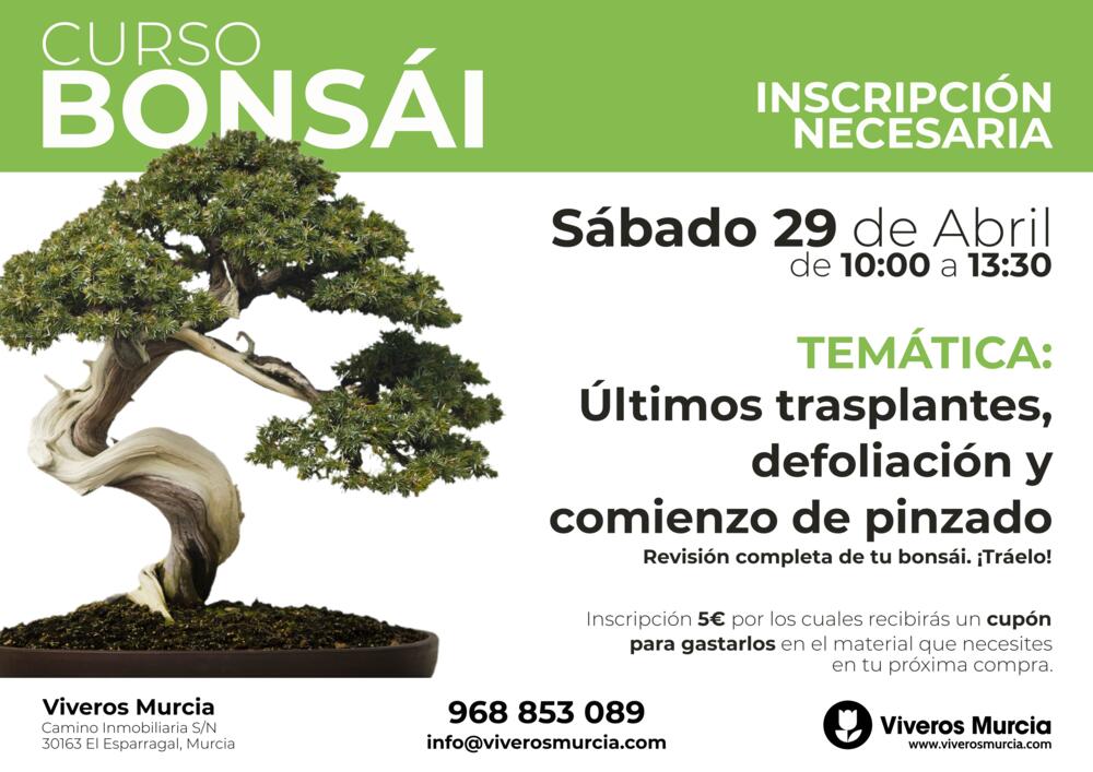 Nueva edición del taller de bonsái el sábado 29 de abril