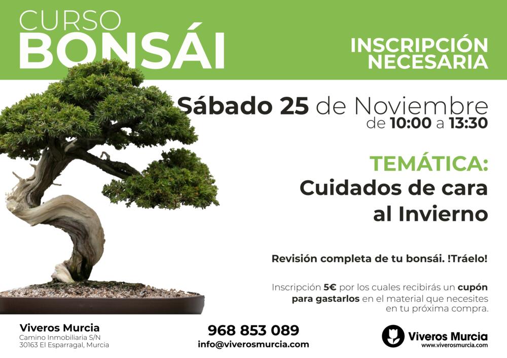 Nueva edición de taller de bonsái el sábado 25 de noviembre