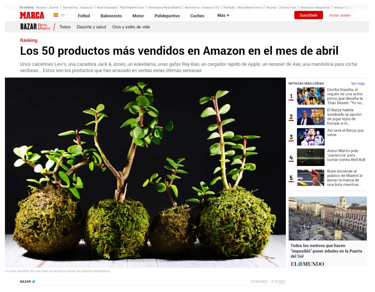 Los Kokedama de Viveros Murcia entre los 50 más vendidos de abril en Amazon según el diario MARCA