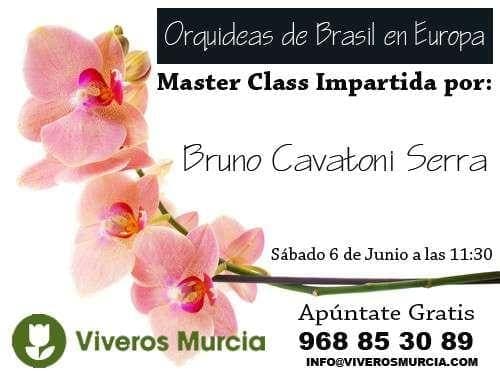 Video Master Class