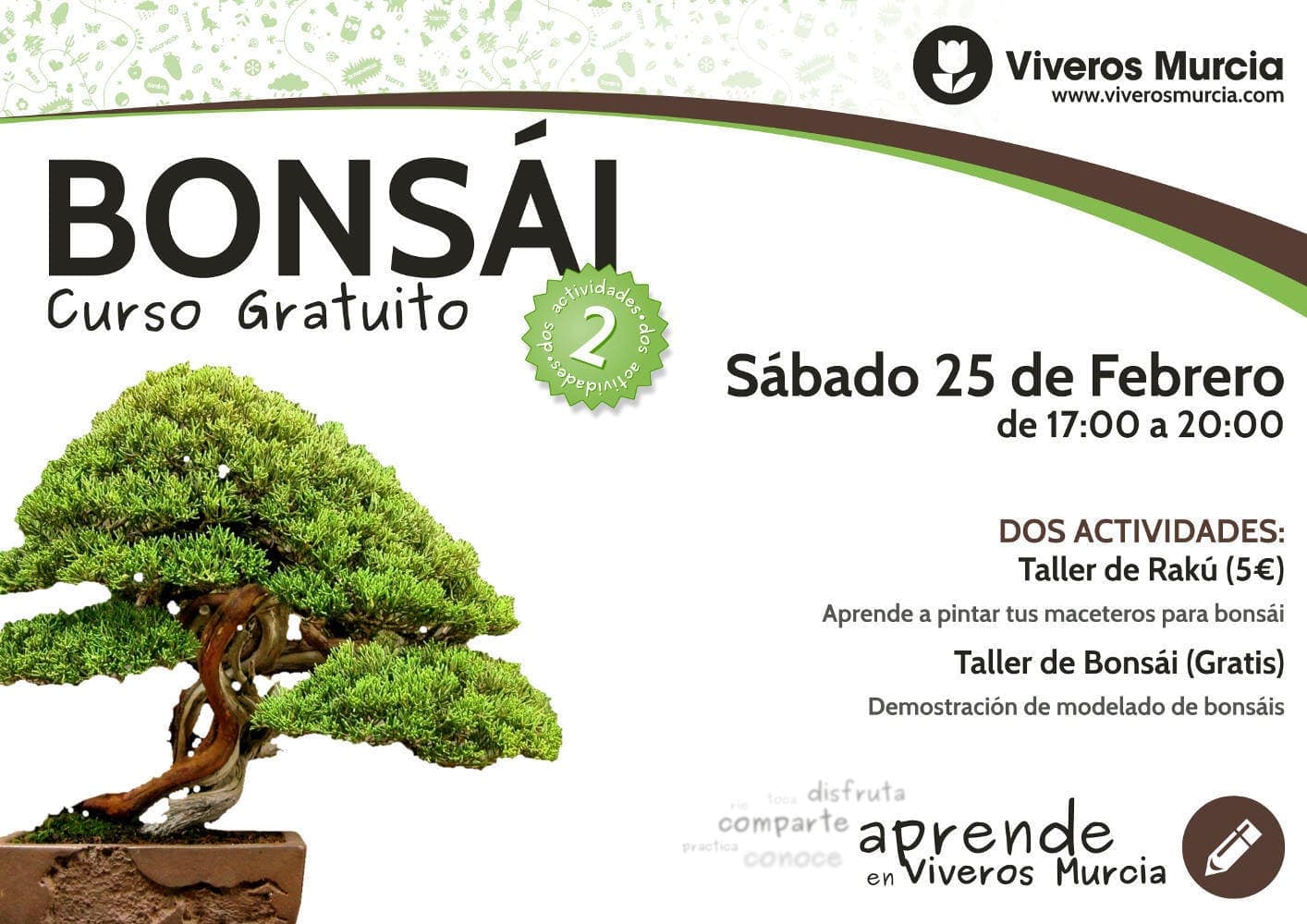 Taller de bonsái gratuito
