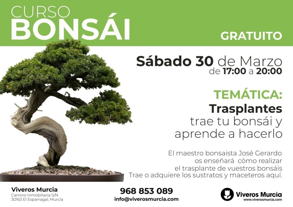 Taller práctico de Bonsái gratis el próximo Sábado 30 de Marzo