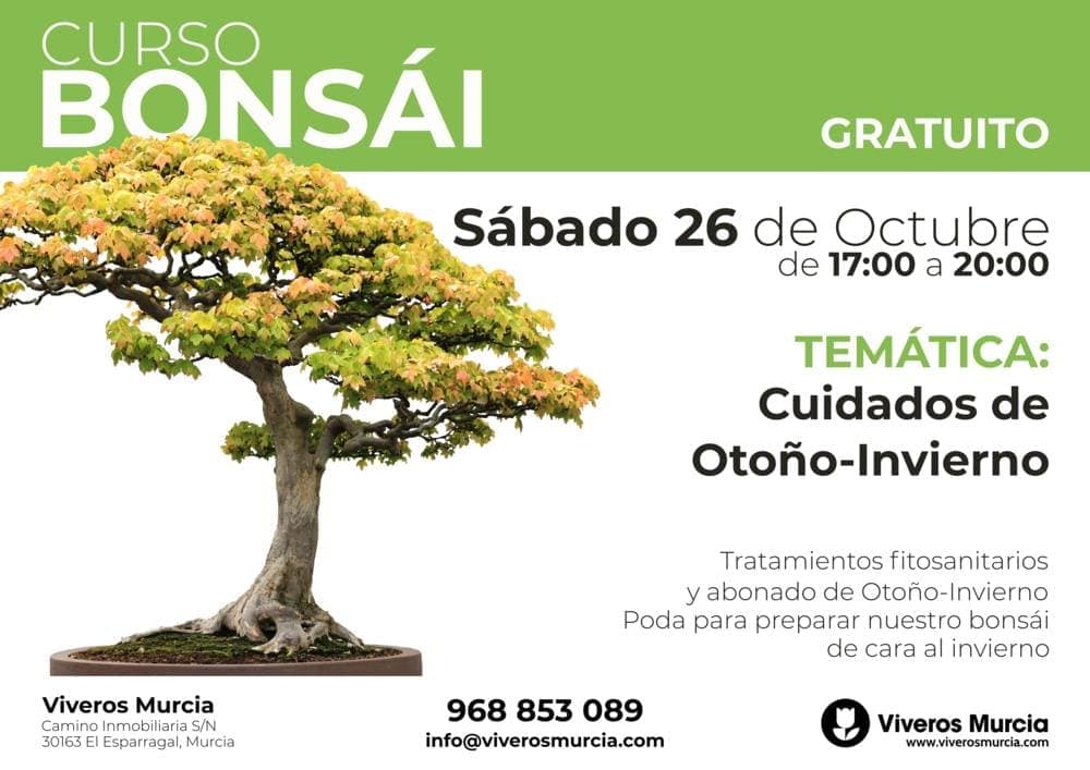 Bonsáis y plantas especiales en Murcia · Viveros Murcia