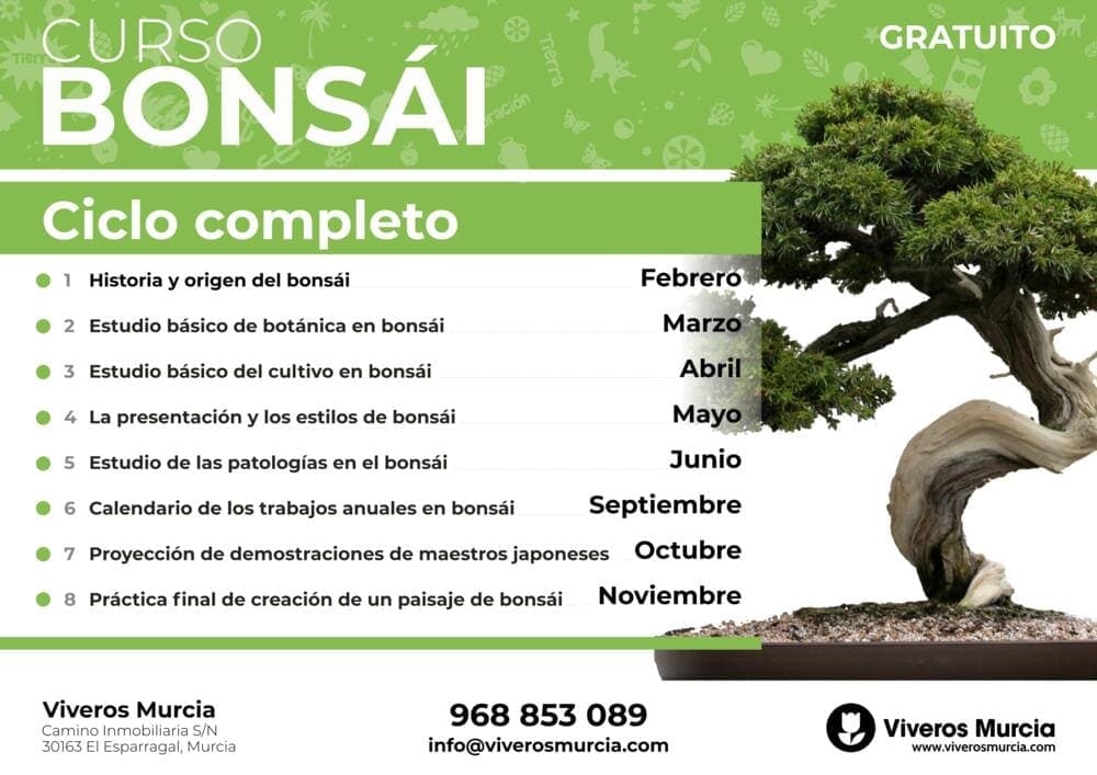curso gratis bonsái
