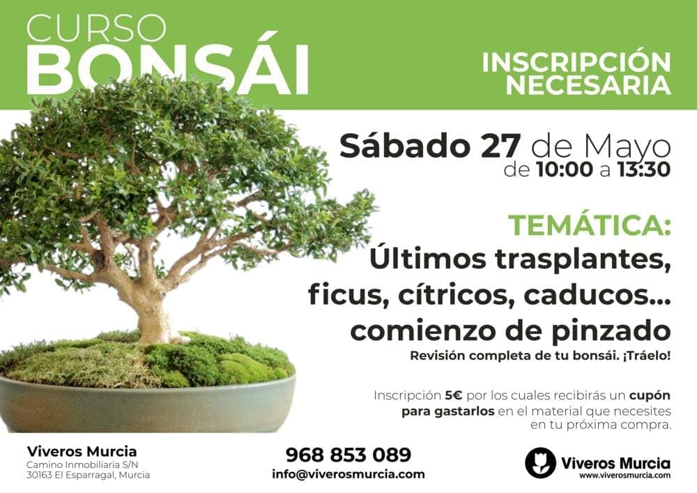Nueva edición del taller de bonsái el sábado 27 de mayo