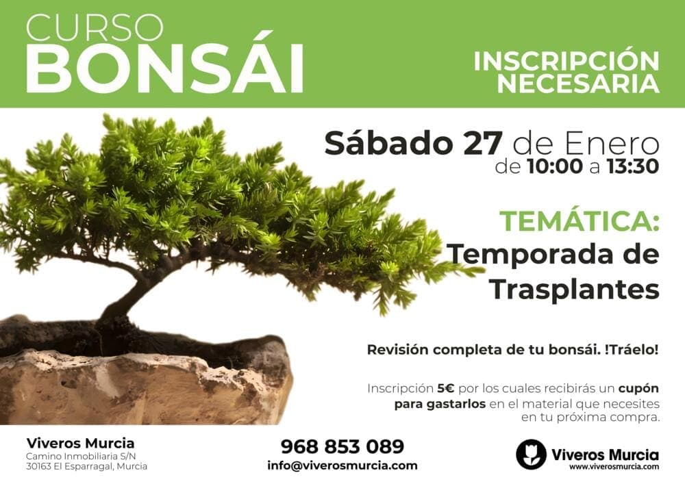 Descubre el Arte de los Bonsáis en Nuestro Próximo Taller de Trasplantes el próximo sábado 27
