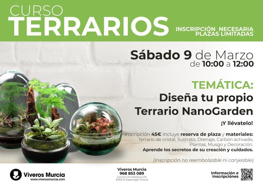 Crea tu propio Terrario y llévatelo a casa (Curso de Terrarios en Viveros Murcia)