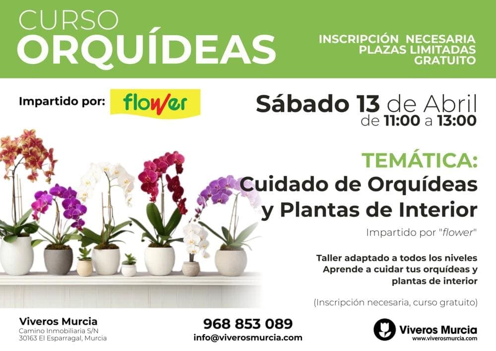 Curso de cuidados y cultivo de Orquídeas y plantas de interior