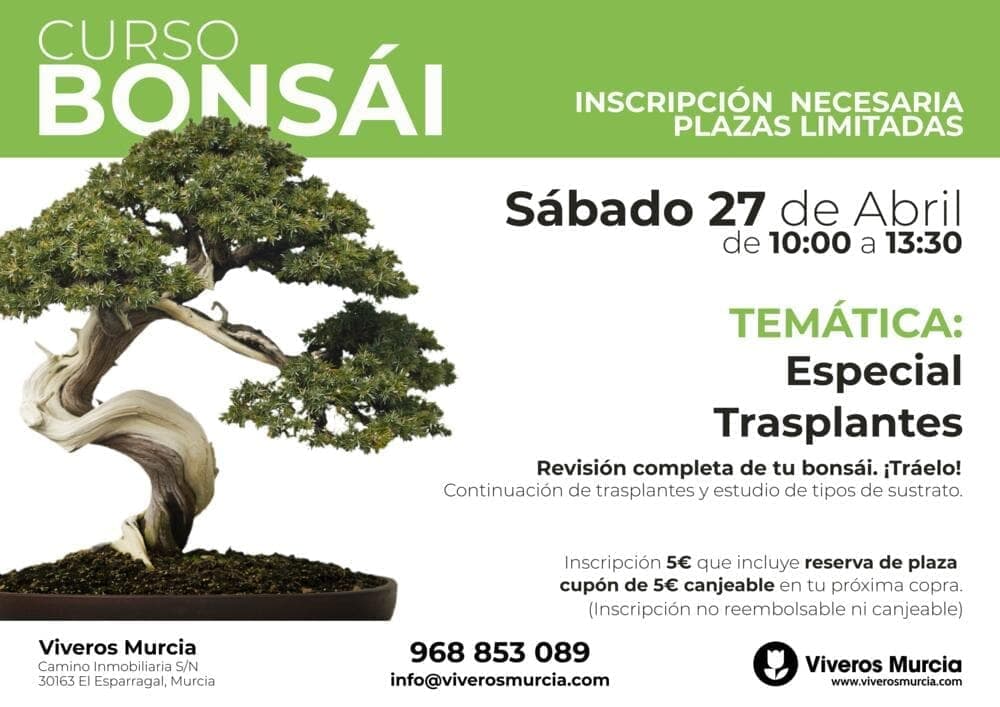 Curso de Bonsáis: Aprende los secretos del trasplante, sustratos y abonos