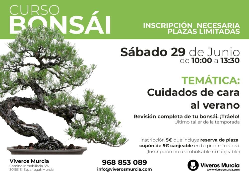Curso de Bonsáis: Cuidados de cara al Verano