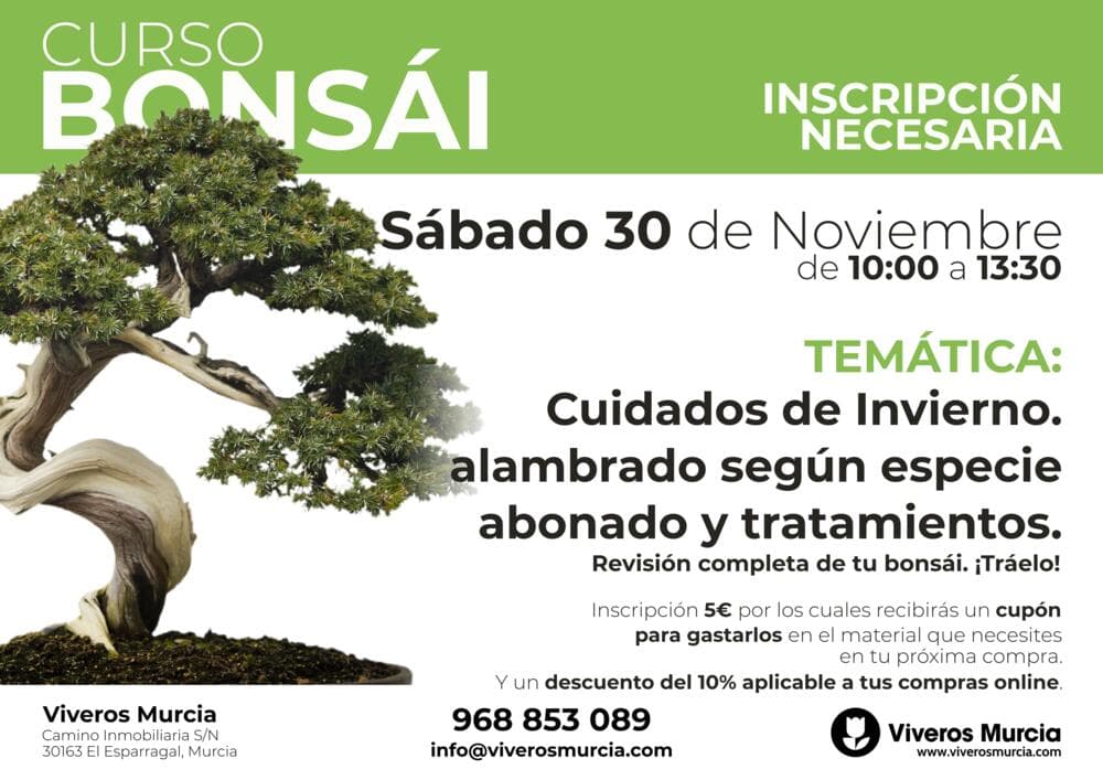 Próximo taller bonsáis el próximo sábado 30 de noviembre en Viveros Murcia