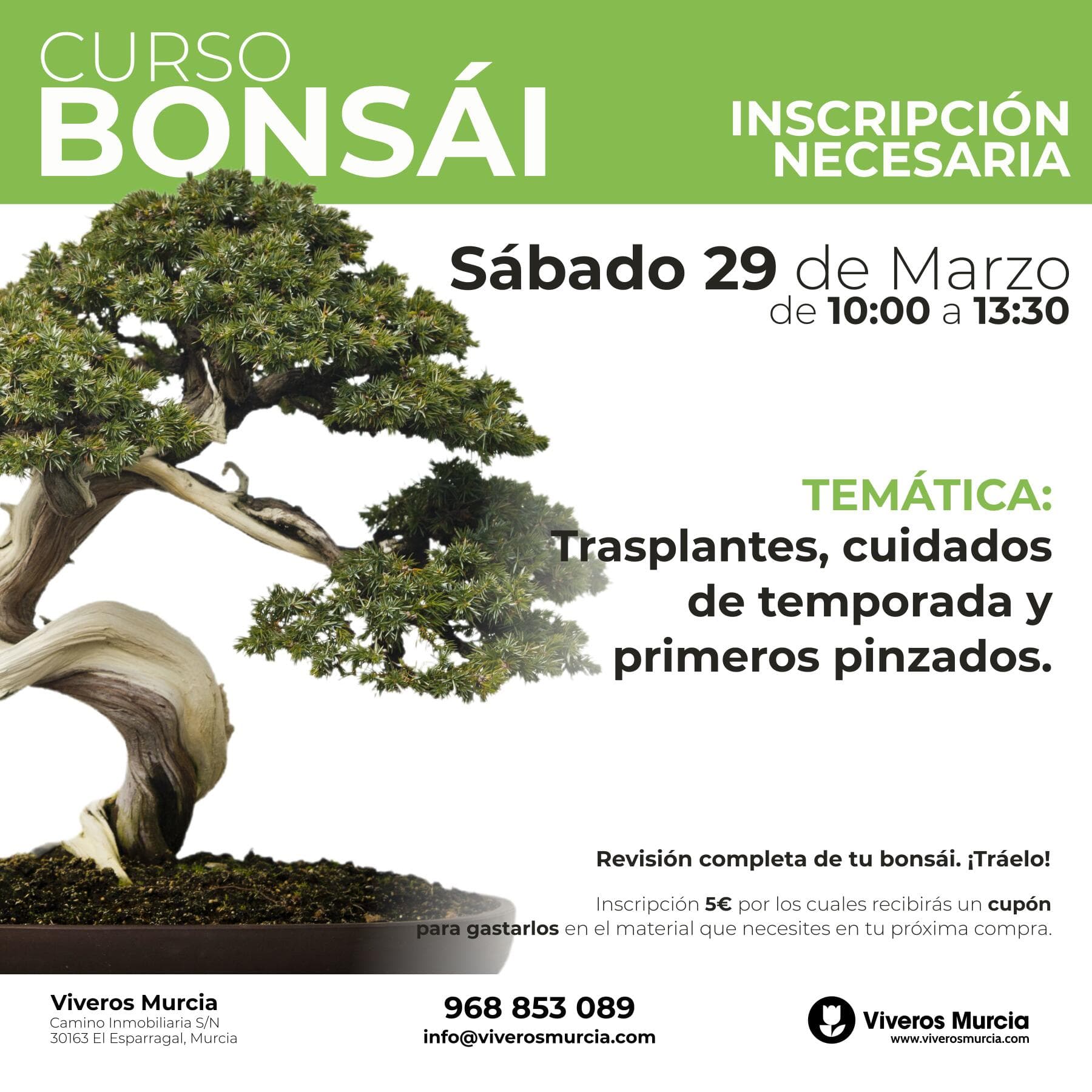 Próximo taller práctico de bonsáis el sábado 29 de marzo en Viveros Murcia