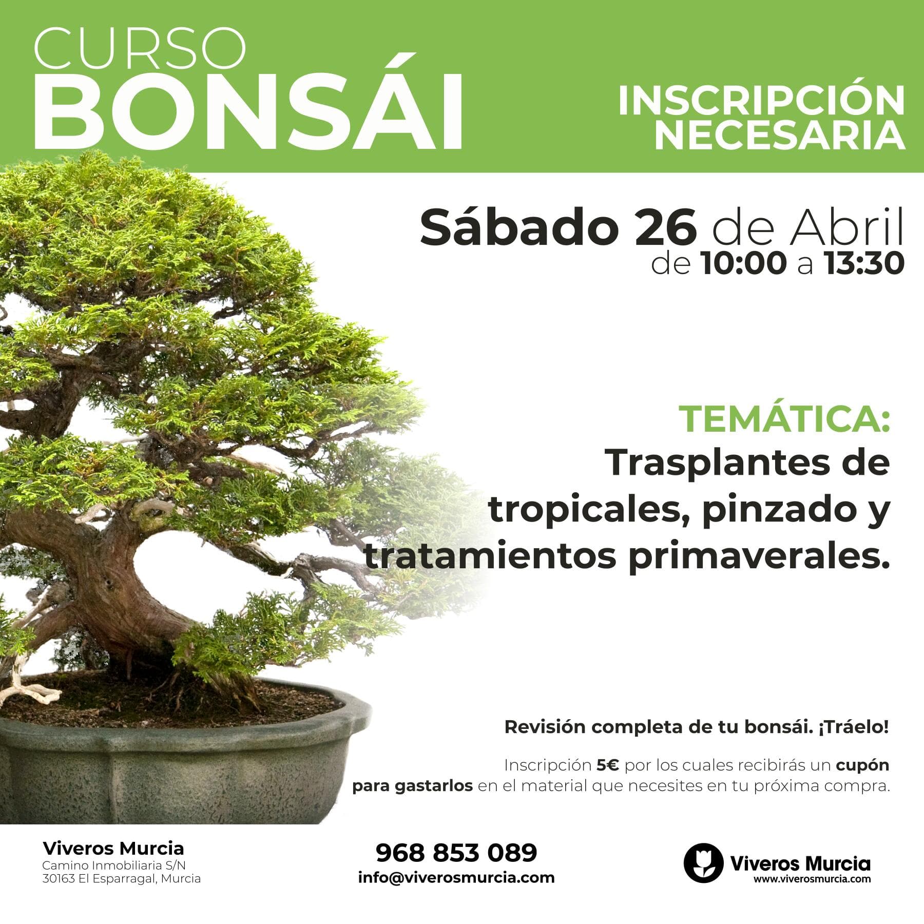 Nuevo taller bonsáis el próximo sábado 26 de abril de 2025 en Viveros Murcia