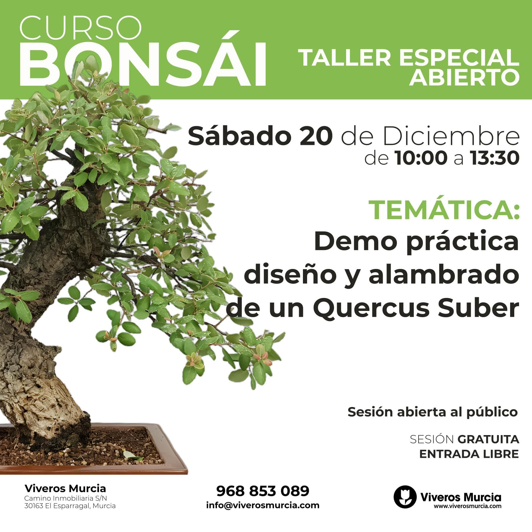 Asiste gratis a la clase práctica de diseño de bonsái en Viveros Murcia este 20 de diciembre. Demostración de alambrado sobre Alcornoque. Acceso Libre