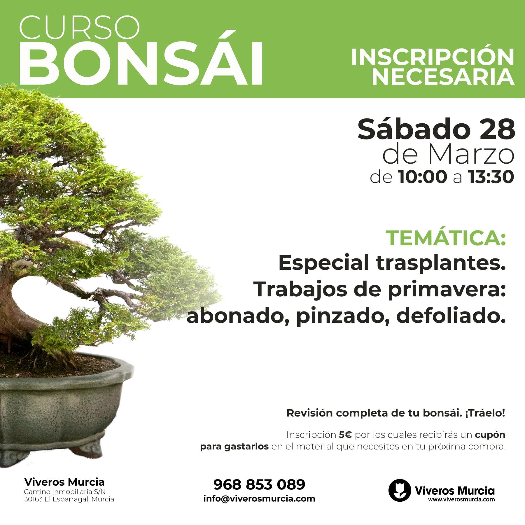 Taller de trasplantes de bonsáis: coníferas, perennes y caducos el 28 de marzo en Viveros Murcia