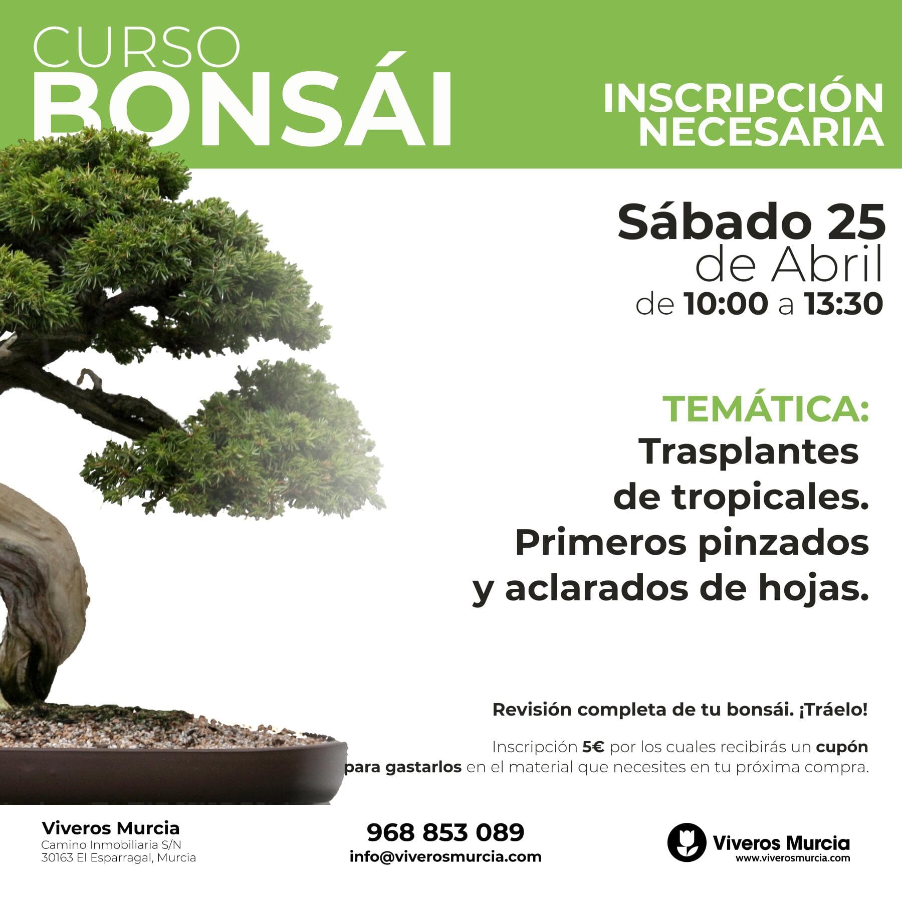 Taller de trasplantes de bonsáis tropicales el sábado 25 de abril en Viveros Murcia