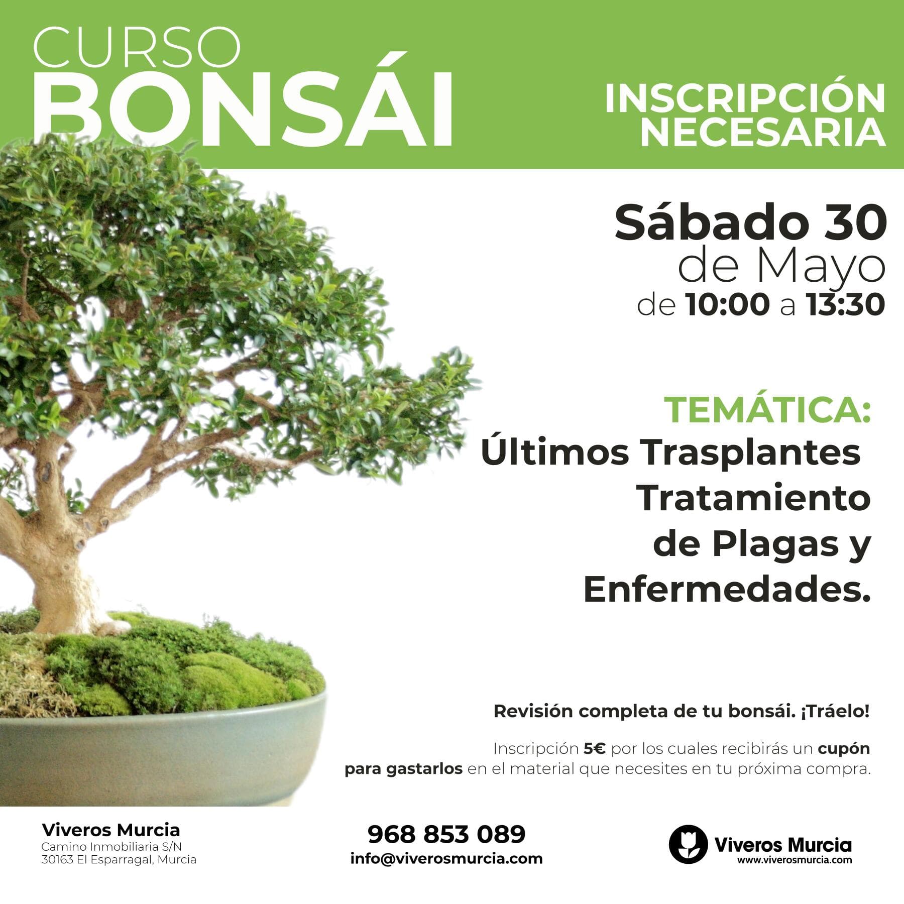 Curso de bonsái sábado 30 de mayo: Últimos trasplantes, plagas y enfermedades