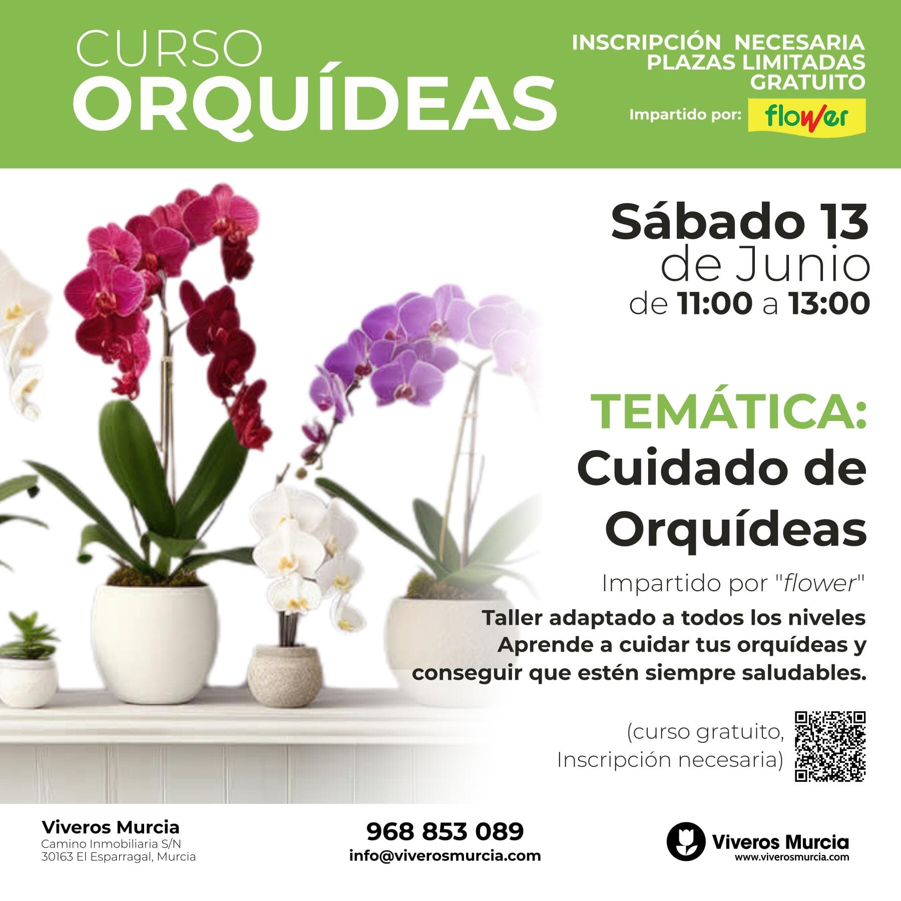 Taller de Orquídeas con Flower: sábado 13 de junio en Viveros Murcia