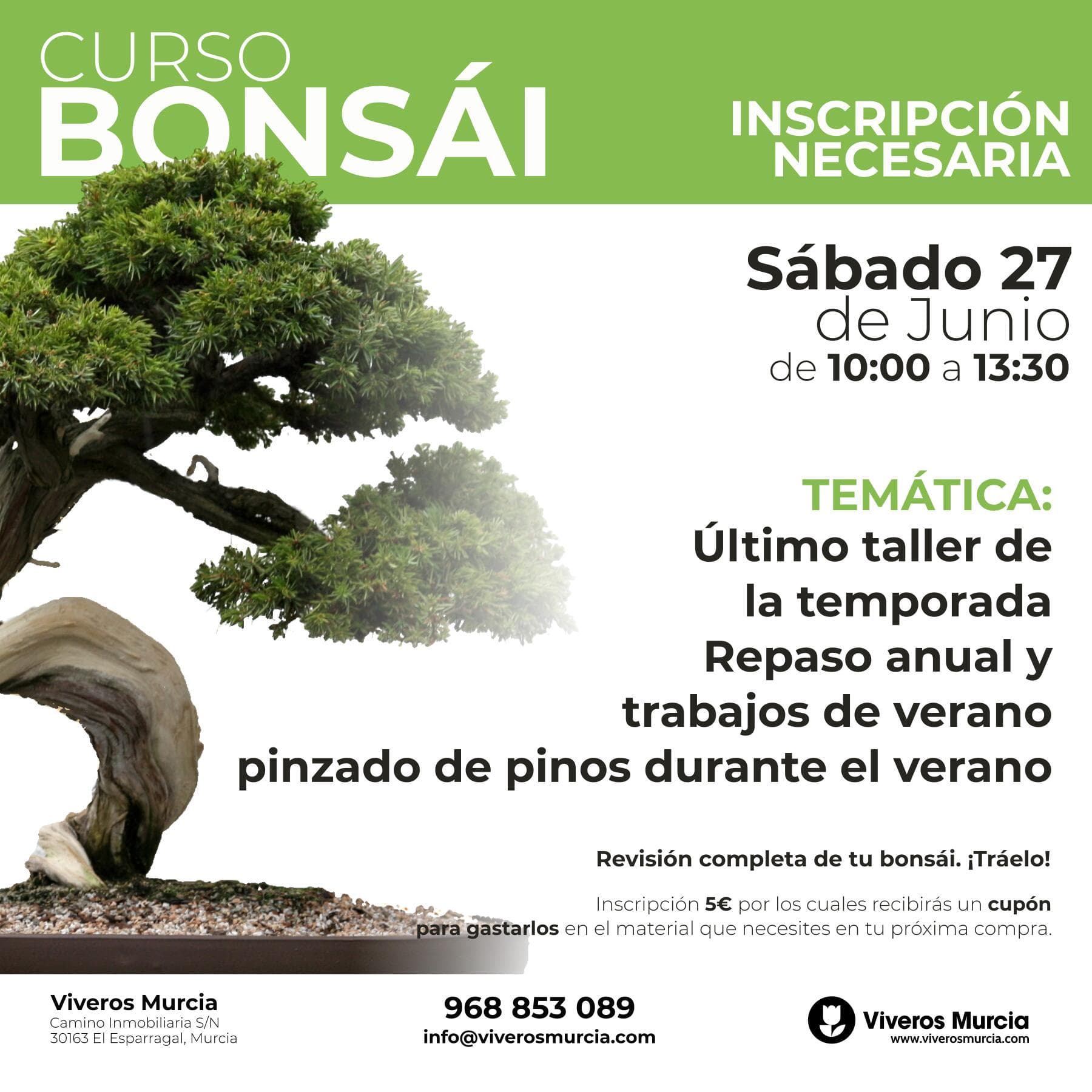 Último taller de bonsáis de la temporada 2026: repaso anual y trabajos de verano