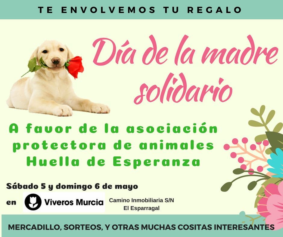 Día de la Madre - Acción solidaria protectora de animales