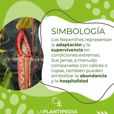 Adaptación y supervivencia en condiciones extremas