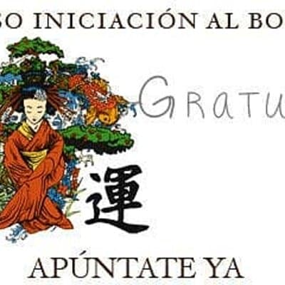 Vídeo Curso Iniciación al Bonsai Noviembre 2015
