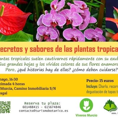 Taller de Plantas Tropicales el próximo 25 de mayo