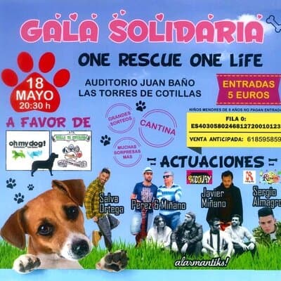 Viveros Murcia colabora con recaudación de fondos para protectoras de animales