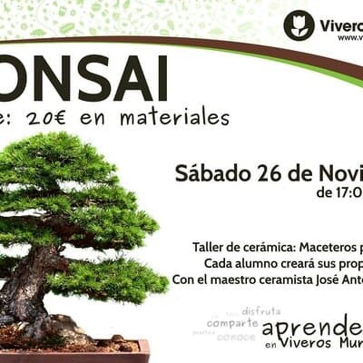 Taller de Cerámica en Viveros Murcia