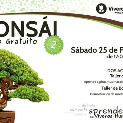 Talleres de Bonsái el próximo Sábado 25 de Febrero