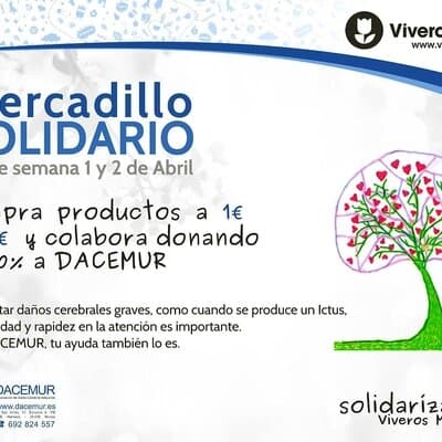 Mercadillo solidario DACEMUR