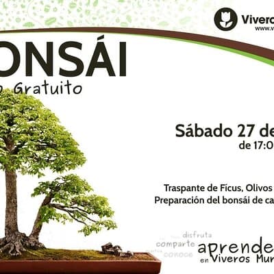 Regresan los Talleres Gratuitos de Bonsáis el próximo Sábado 27 de Mayo