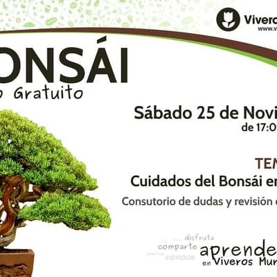 Taller de Bonsái gratis el próximo Sábado 25 de Noviembre