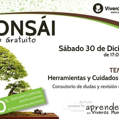 Taller de Bonsái gratis el próximo Sábado 30 de Diciembre