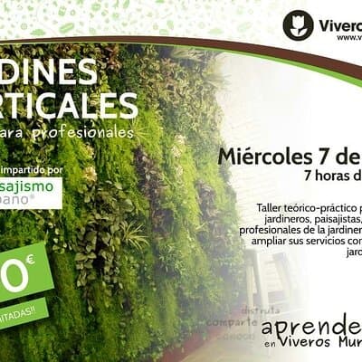 Curso práctico de Jardinería Vertical para profesionales