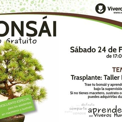 Taller de Bonsái gratis el próximo Sábado 24 de Febrero