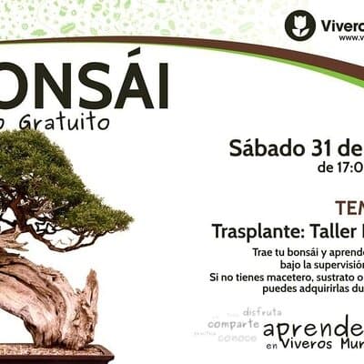 Taller de Bonsái gratis el próximo Sábado 31 de Marzo