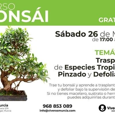Taller de Bonsái gratis el próximo Sábado 26 de Mayo