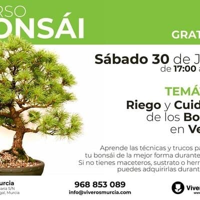 Taller de Bonsái gratis el próximo Sábado 30 de Junio